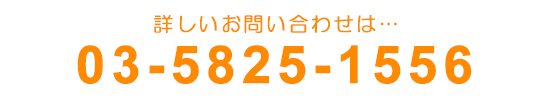 ڂ₢킹́A03-5825-1556